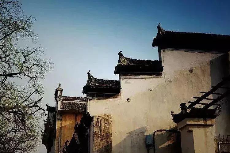 探索问答世界,尽在70年北京九龙一凤都是谁?